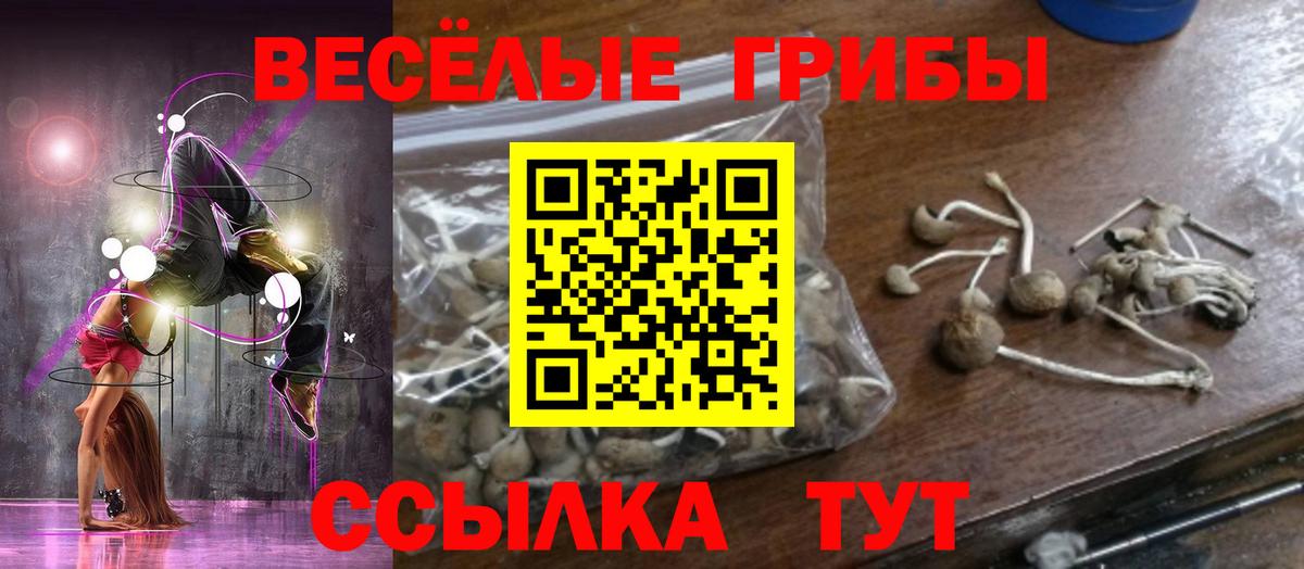 как найти наркотики  Галлюциногенные грибы Psilocybe  Вход с VPN  Псилоцибиновые грибы мицелий  Елизово 